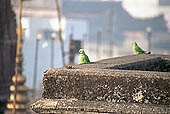 Varanasi - the ghats